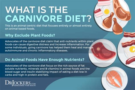 carnivore définition|carnivore diet pros and cons.